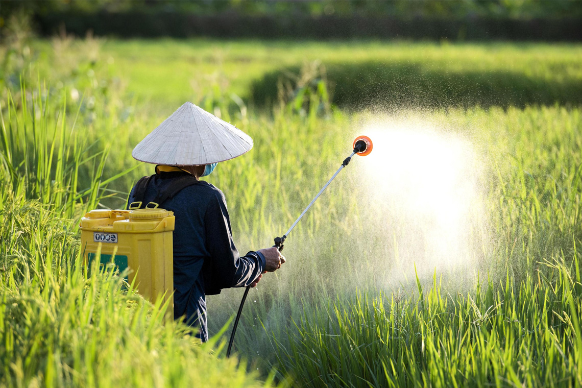 Chemicals & Fertilizers